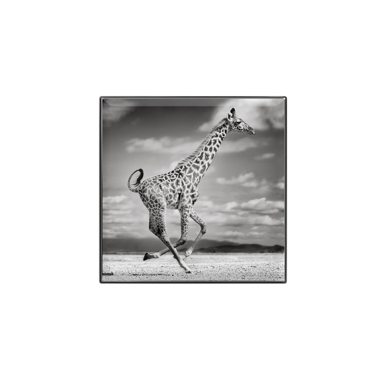 Chantecaille 閃爍光采眼影 2.5g(色號可選)