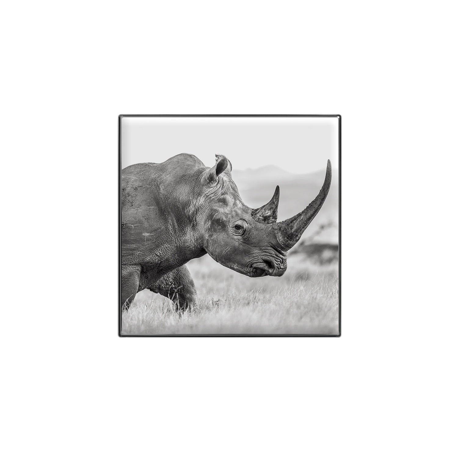 Chantecaille 閃爍光采眼影 2.5g(色號可選)