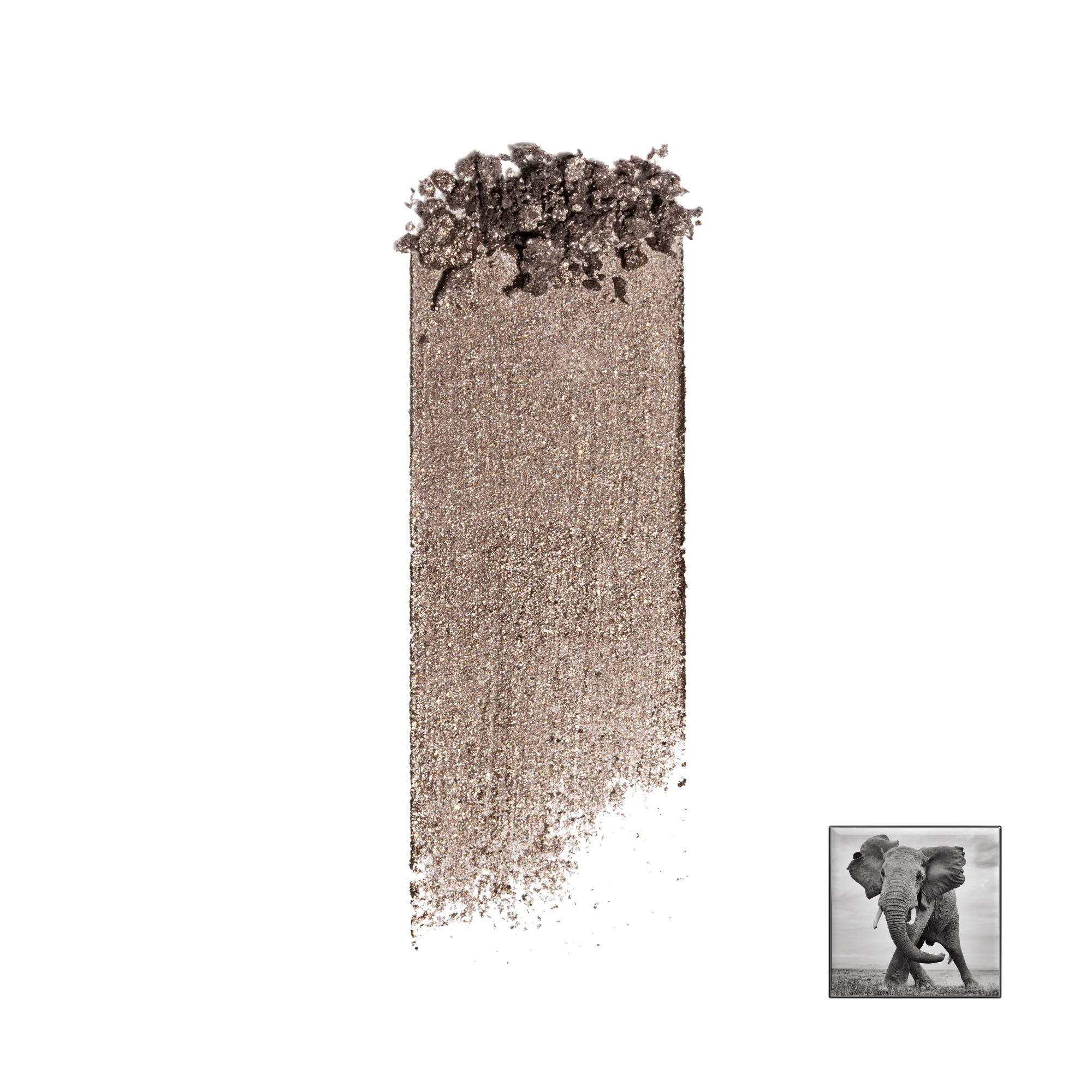 Chantecaille 閃爍光采眼影 2.5g(色號可選)
