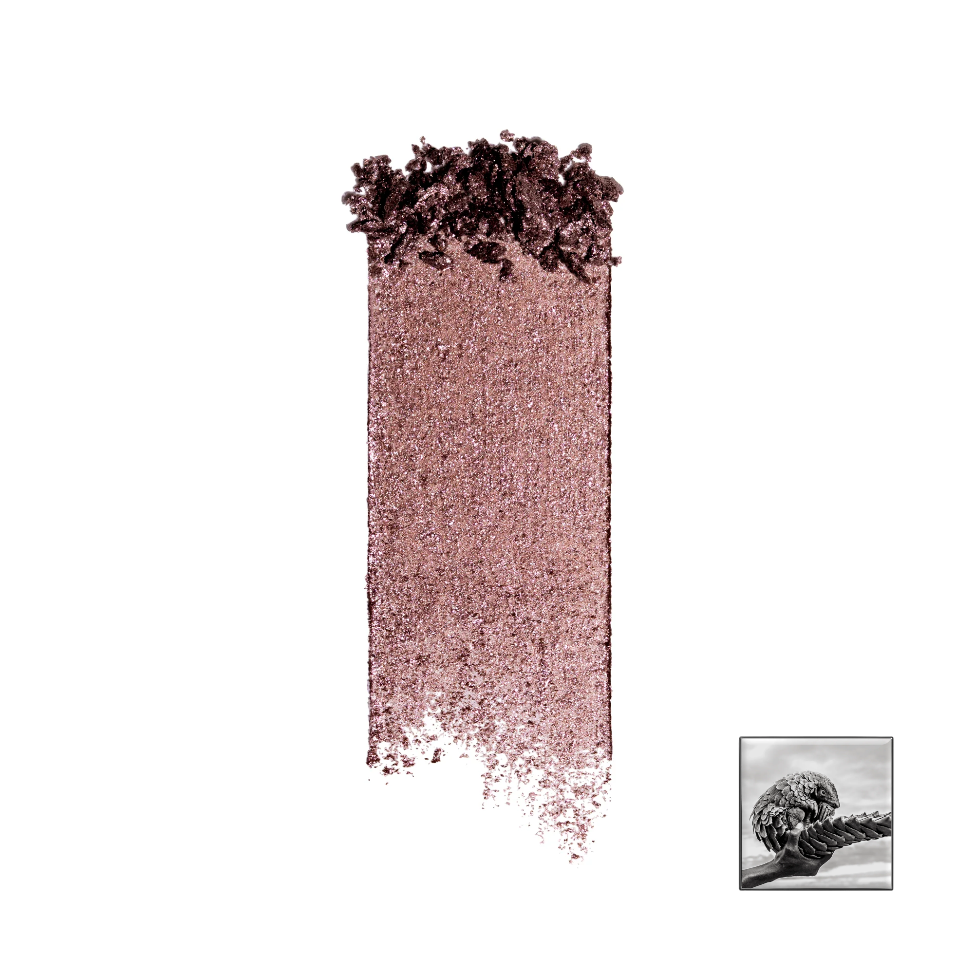 Chantecaille Shimmering Eyeshadow 2.5g (shade available)