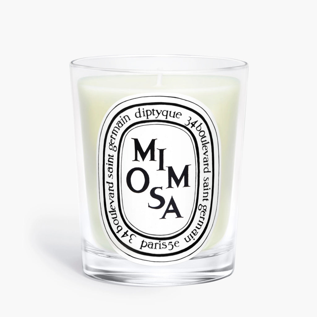Diptyque 經典香氛蠟燭 190g（香味可選）