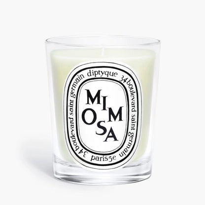 Diptyque 經典香氛蠟燭 190g（香味可選）
