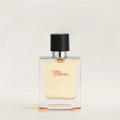Hermès Terre d&