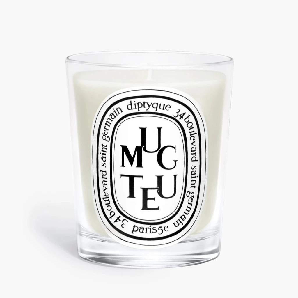 Diptyque scented candle 190g (various scents available)