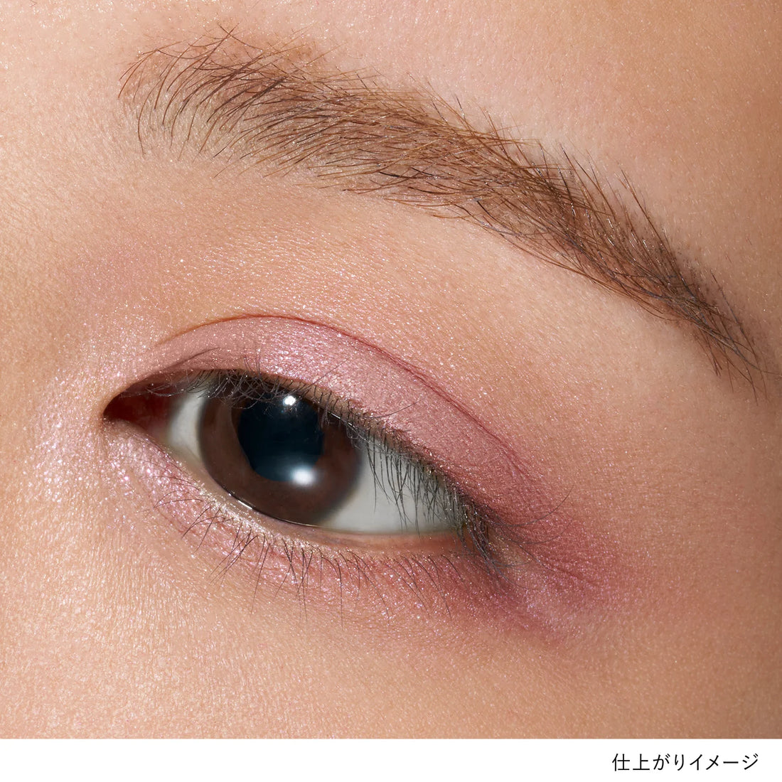 Lunasol 魅光幻彩四色眼影組 N 7g